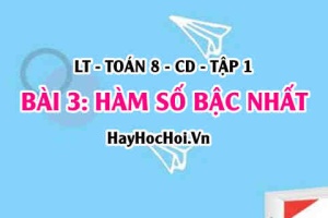 Hàm số bậc nhất y=ax+b và ứng dụng của hàm số bậc nhất? Ví dụ? Toán 8 bài 3 [b3c3cd1]